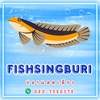 ปลาหลดแดดเดียวขนาด​ 500​ กรัม​