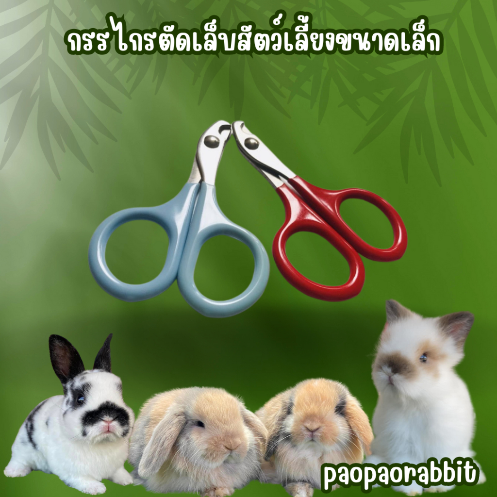 กรรไกรตัดเล็บ สำหรับสัตว์เลี้ยง