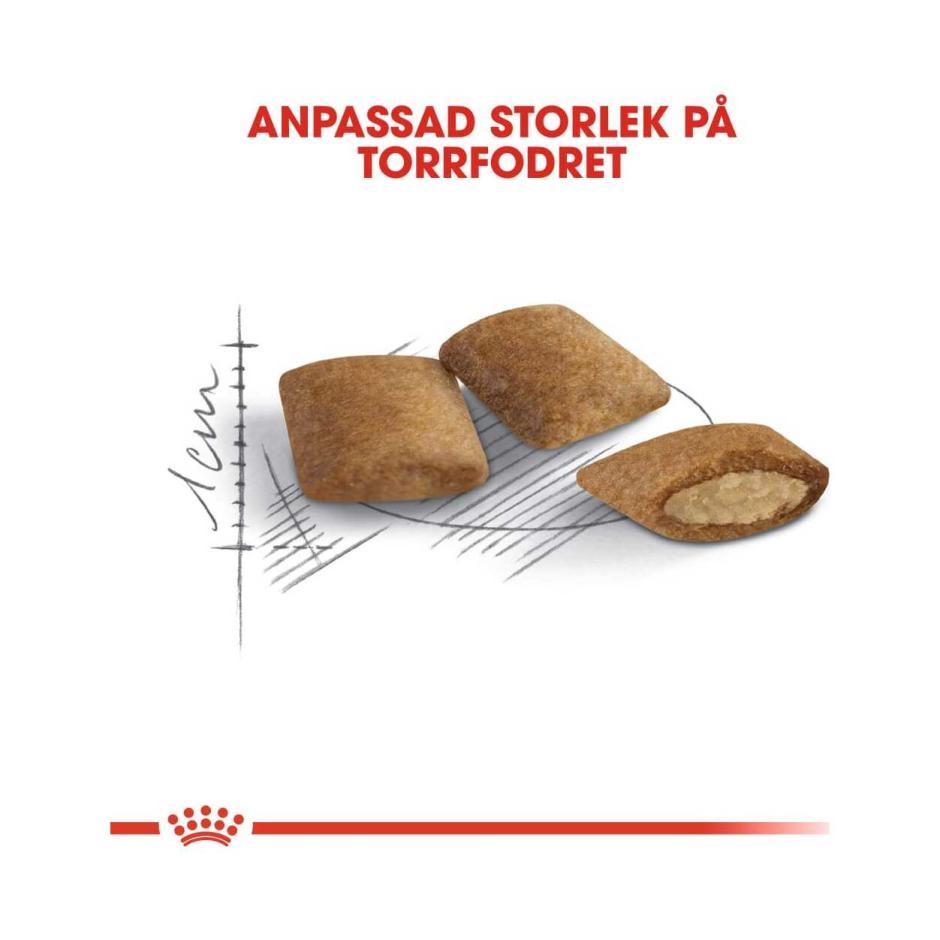 Royal Canin Ageing 12+ บรรจุ 2 และ 4kg อาหารเม็ดแมวสูงวัย อายุ 12 ปีขึ้นไป - รูปที่ 2