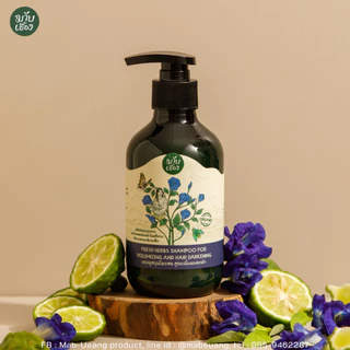 แชมพูสมุนไพรสด สูตรเพิ่มผมดกดำ แชมพูลดผมหงอก (FRESH HERBS SHAMPOO FOR HAIR DARKENING) มาบเอื้อง
