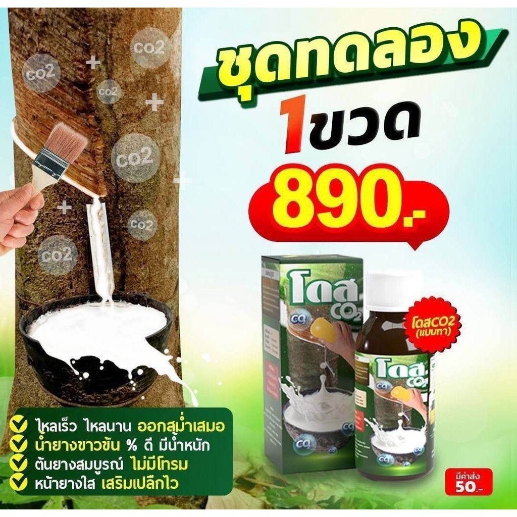 โดส Co2 (ซีโอทู) ทาหน้ายาง 1 ขวด Dose เพิ่มผลผลิต พิชิตเชื้อรา แก้ปัญหาตายนึ่ง สูตร ดร.สยามรัฐ ป้านภูมิ ปลอดภัย ไม่มีสาร