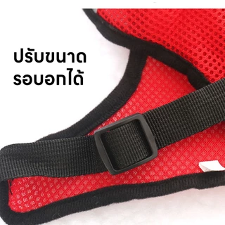 yoyopet : สายจูงสัตว์เลี้ยง หมา แมว สายรัดสัตว์เลี้ยง ชุดเสื้อตาข่ายพร้อมสายจูง มีหลายขนาดให้เลือก
