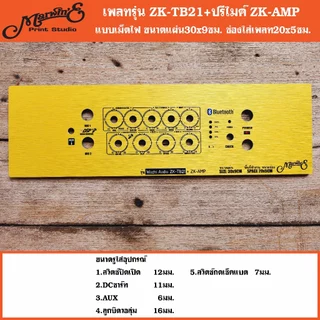 เพลทรุ่น ZK-TB21+ปรีไมค์ ZK-AMP ขนาดแผ่น30x9ซม.👉Marwin'e.แบรนด์แรกเพลทคอมโพสิทในตู้บลูทูธDIY.สินค้าในไทย🇹🇭
