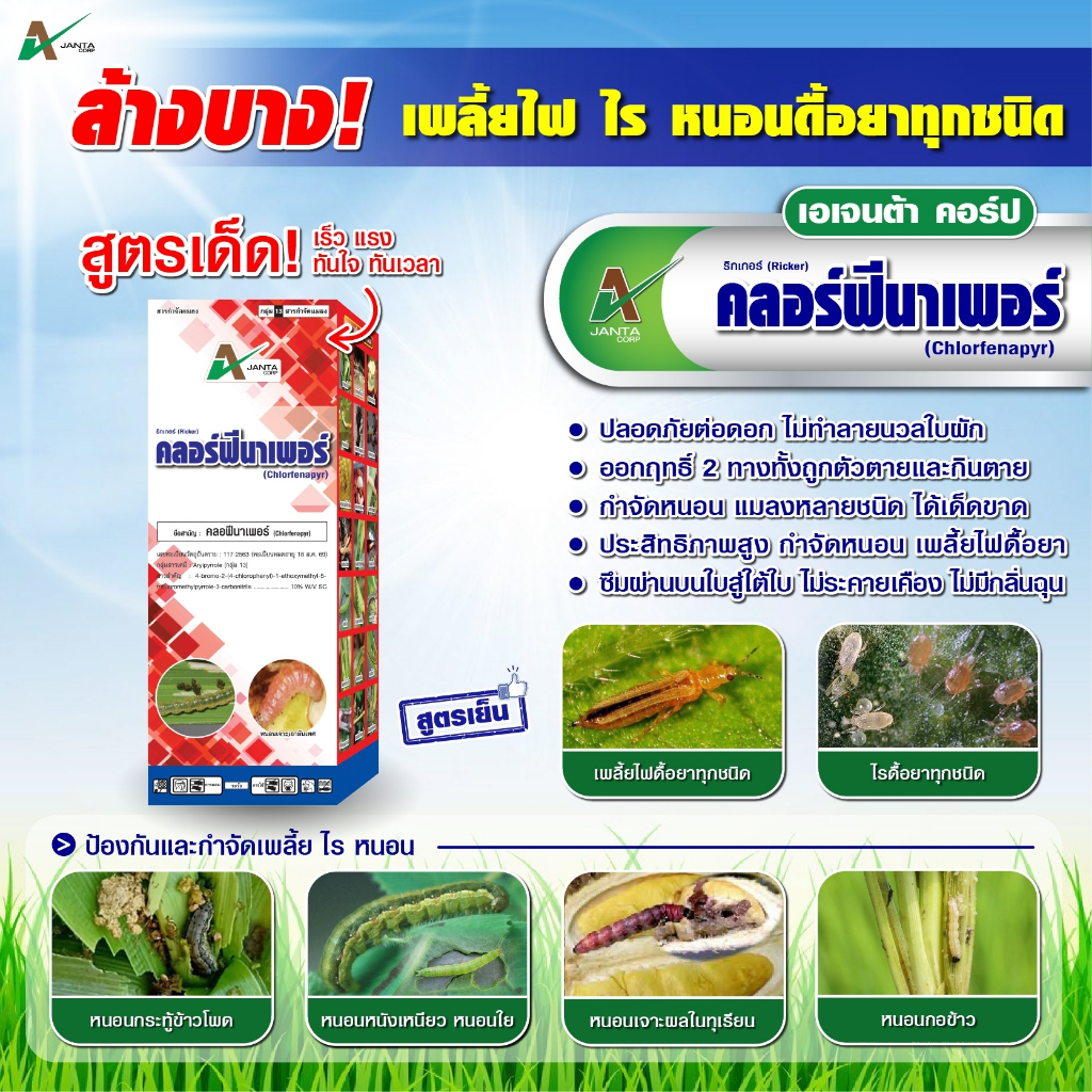 คลอร์ฟีนาเพอร์ ยาฆ่าหนอน เพลี้ยไฟ ไรแดง หนอนกระทู้ข้าวโพด หนอนกระทู้ผัก หนอนเจาะผล หนอนเจาะดอก เอเจนต้า คอร์ป (1 ลิตร)