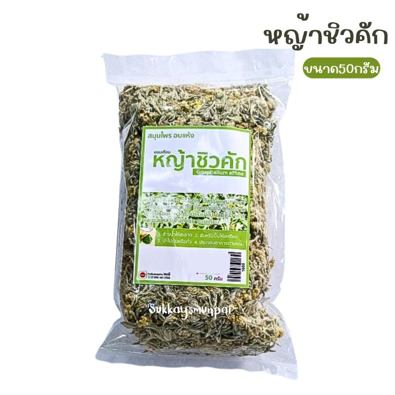 หญ้าชิวคัก ( Gnaphalium affine) 50กรัม ชิวคักเเห้ง ฉื่อคัก ทำขนมเทียน