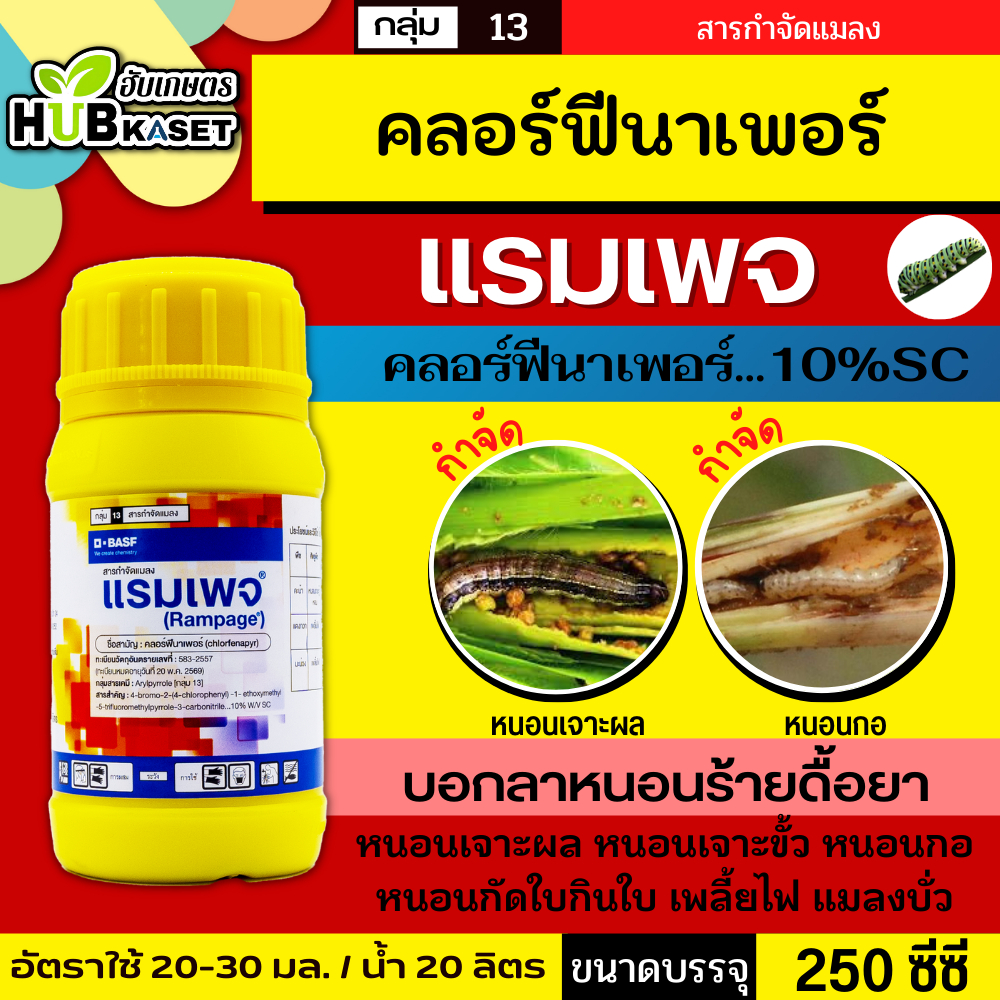 แรมเพจ 250ซีซี (คลอร์ฟีนาเพอร์) ป้องกันกำจัดหนอนกระทู้ข้าวโพด หนอนเจาะฝัก หนอนเจาะผล หนอนในนาข้าว หนอนกอ หนอนใยผัก
