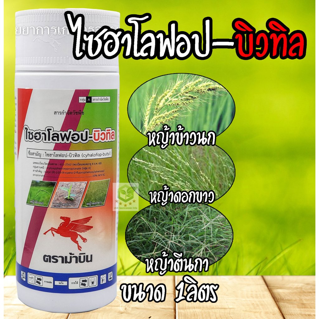 1ลิตร ไซฮาโลฟอป – บิวทิล ตราม้าบิน  ( ไซฮาโลฟอป-บิวทิล ) สารกำจัดวัชพืชประเภทใบแคบ เช่น หญ้าข้าวนกและหญ้าดอกขาว