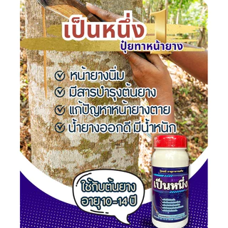 เป็นหนึ่งปุ๋ยทาหน้ายาง สูตรฝาแดง 10-14ปี ขนาด 500cc แถมแปรงทุกออเดอร์