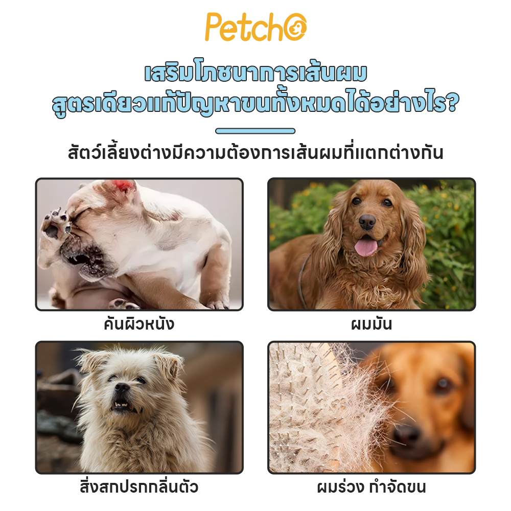 รูปภาพ 2