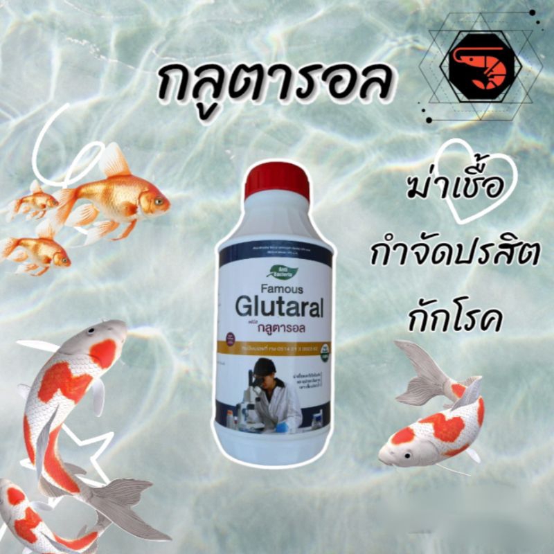 กลูต้า+บีเคซี  ฆ่าเชื้อรา เชื้อแบคทีเรีย โปรโตซัว และไวรัส ในน้ำ ในสัตว์น้ำและสัตว์บก ยามีทะเบียน ปลอดภัย ขนาด 1 ลิตร