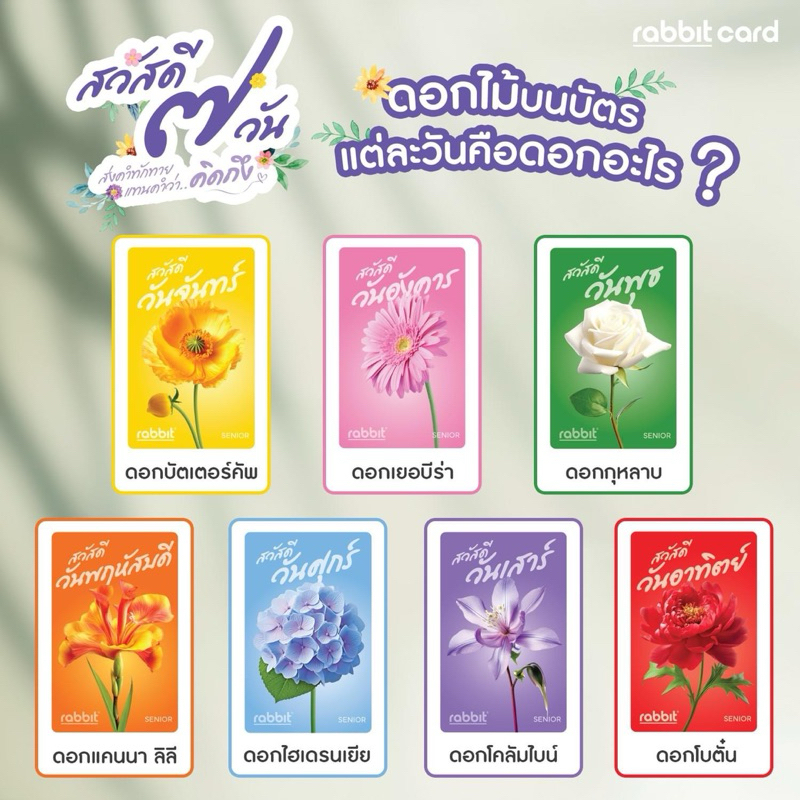 9.9 (พร้อมส่ง) บัตรแรบบิทลายพิเศษ สำหรับผู้สุงอายุ 60 ปีขึ้นไป Rabbit IC Card for Senior