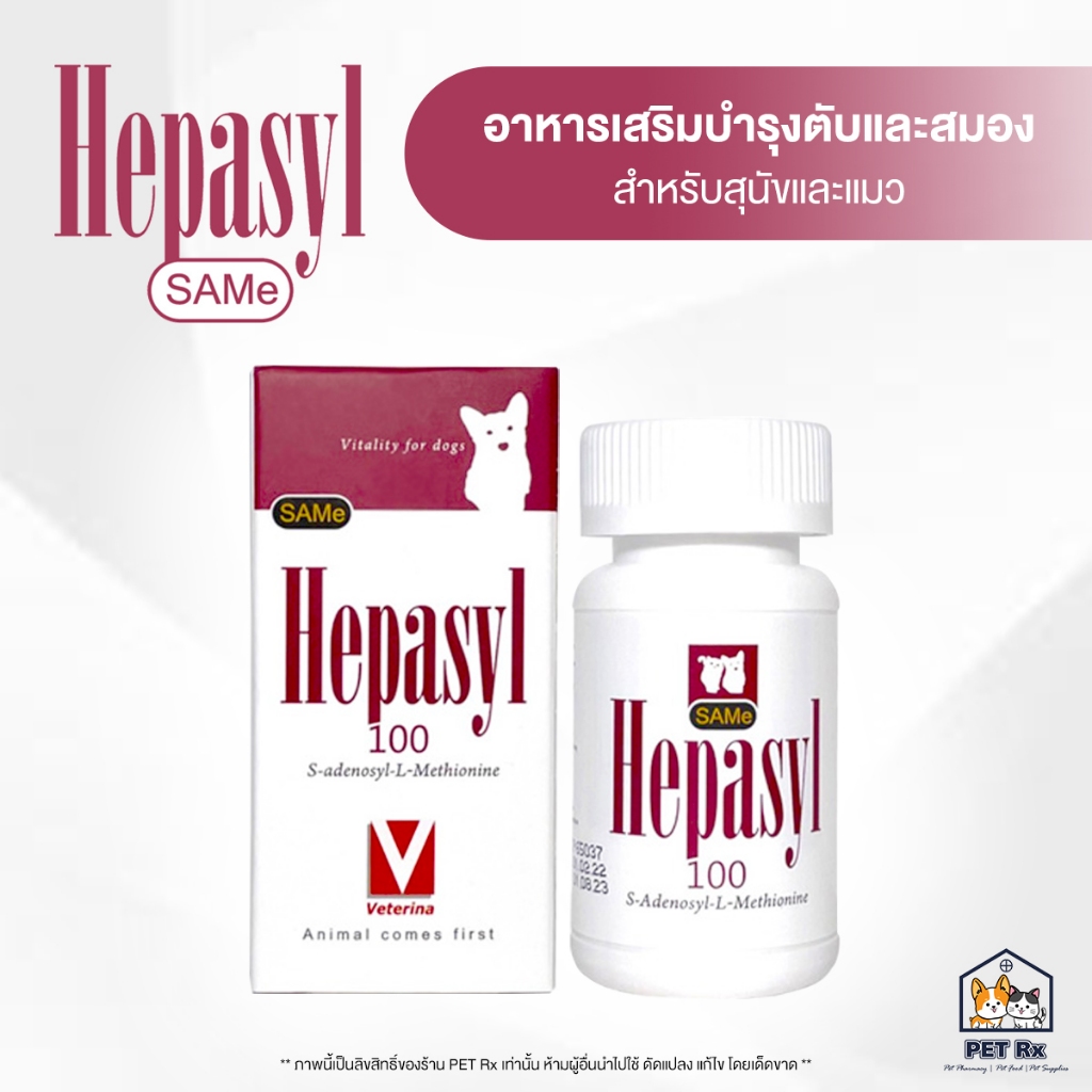 Hepasyl 100 [แท้💯] อาหารเสริมบำรุงตับและสมอง จากสารประกอบขั้นสูง สำหรับสุนัขและแมว (30 เม็ด) (SAMe)