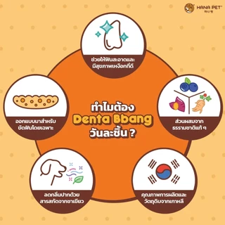Hana Pet ขนมขัดฟันสุนัข Denta Bbang แทะสนุก ช่วยให้เหงือกและฟันแข็งแรง แทะได้นาน ช่วยลดกลิ่นปาก