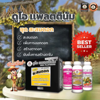 ชุดสะสมดอก หญิงงาม (Duo Platinum) 3x1000cc สะสมดอก เพิ่มการออกดอก
