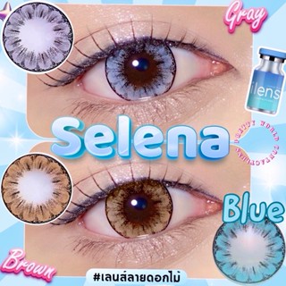 🩵 Selena  : iLens Gray Brown Blue สายตาปกติ ถึง -10.00 ลายดอ…