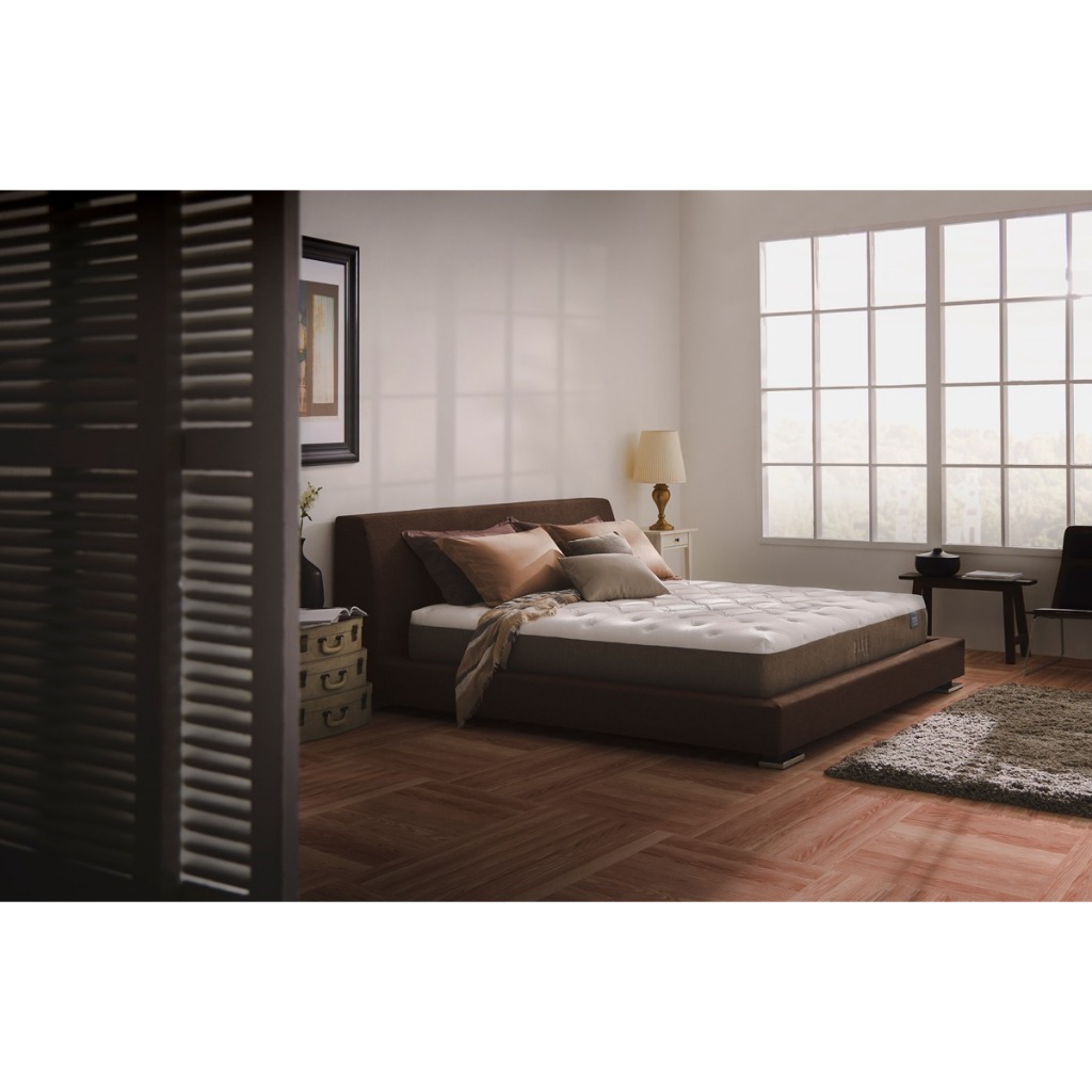 ELLE Decor ที่นอนโฟม ยางพารา รุ่น Chloe Royale หนา 10.5 นิ้ว ฟรีของสมนาคุณตามขนาดที่นอน ส่งฟรี