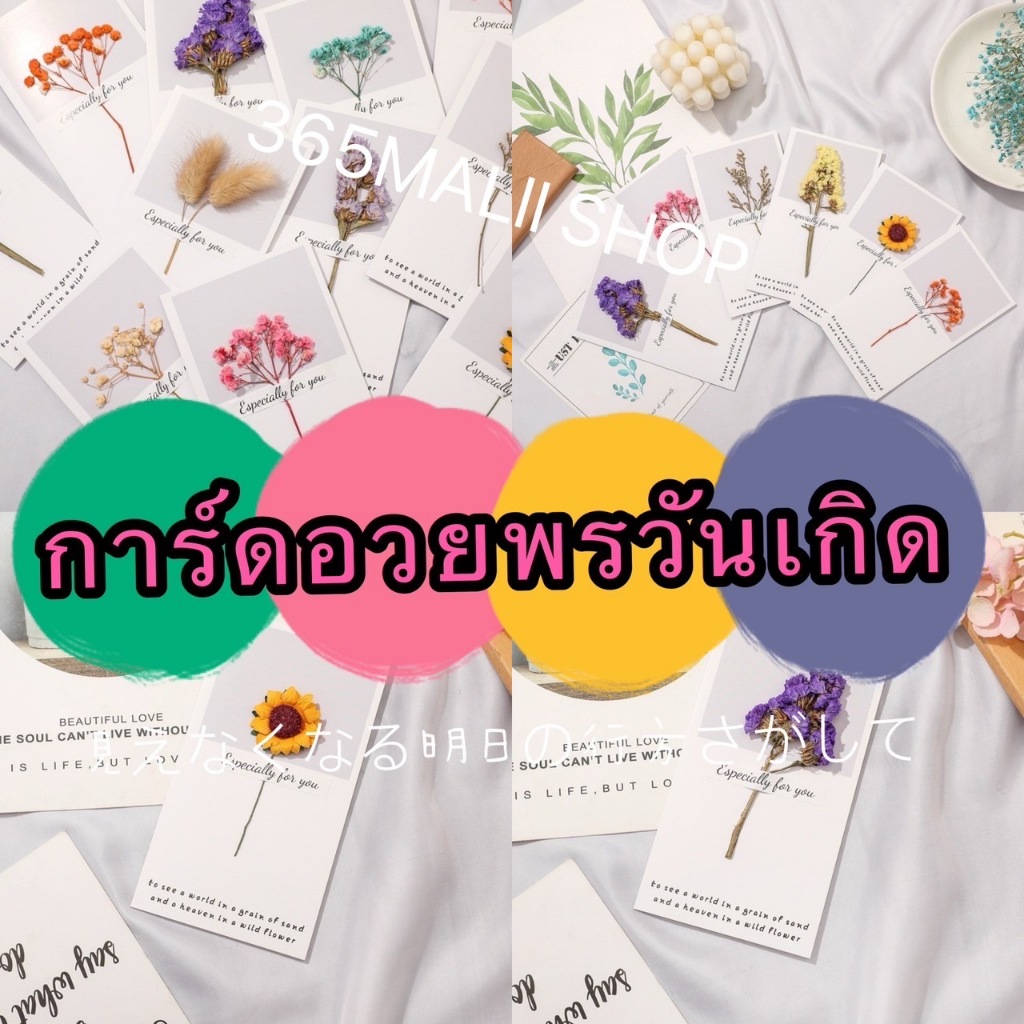 365mallshop SA1212 (ร้านไทย) การ์ดอวยพรวันเกิด-วันวาเลนไทน์ เป็นดอกไม้แห้ง (อุปกรณ์งานปาร์ตี้ วันพิเ