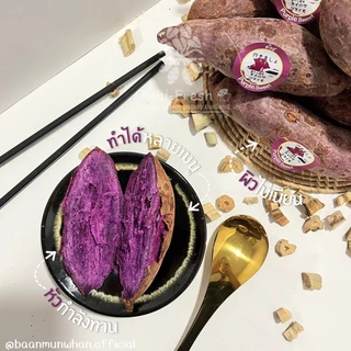 Oishi-Fresh🍠มันหวานญี่ปุ่น🇹🇭ปลูกไทย🇹🇭 เพอเพิ่ลสวีท เผาพร้อมทาน เนื้อเหลือง หอม หวาน จัดส่ง 24 ชม.