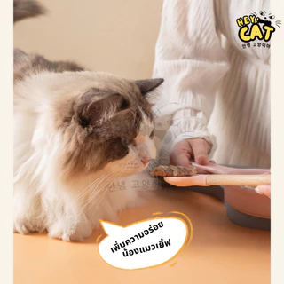 Heycat ช้อนตักอาหารแมว ช้อนอาหารเปียก ช้อนซิลิโคน Food Grade วัสดุคุณภาพ นำเข้าจากเกาหลี