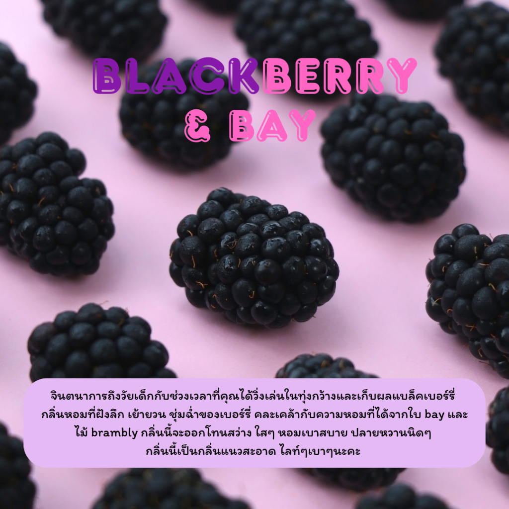 กลิ่นใหม่  เทียนหอม (กลิ่น Blackberry & Bay) เทียนหอมไขถั่วเหลือง 100% ราคา ถูกที่สุด ดีลบีเคเค แกลเลอรีภาพที่ 2