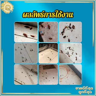 เจลกำจัดแมลงสาบ ดักแมลงสาบ 30g ผลิตภัณฑ์กำจัดแมลง บ้านแมลงสาบ 100%ของแท้ ใช้งานง่าย กำจัดแมลงสาบได้รวดเร็ว