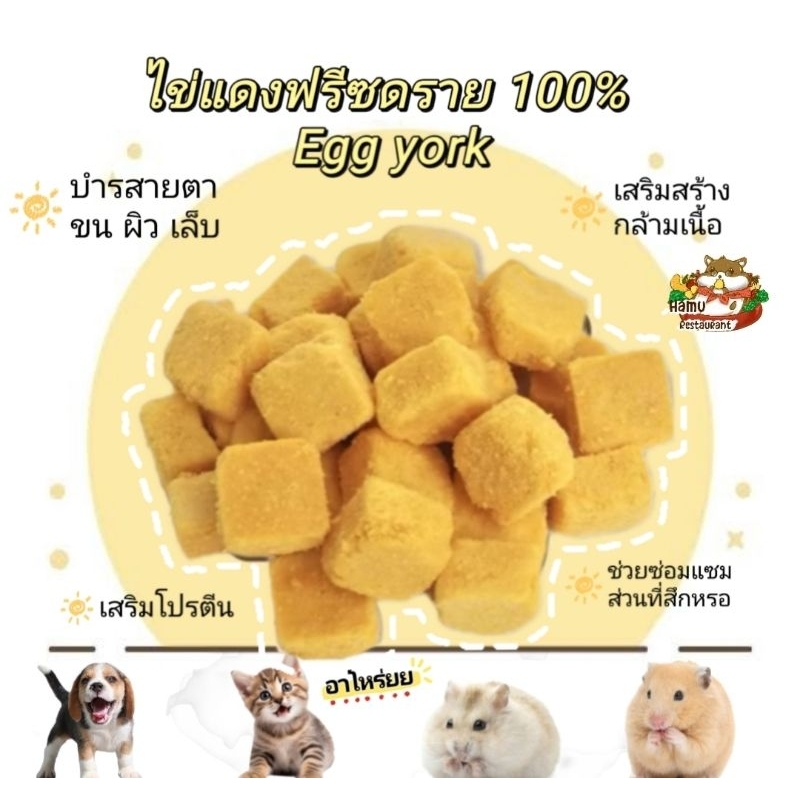 Hamu รวมเนื้อสัตว์ฟรีซดราย ทูน่า ปลาค็อต กุ้ง อกไก่ ตับไก่ อกเป็ด ตับเป็ด ขนาด 20-100g ขนมสัตว์ฟันแทะ ขนมสุนัข ขนมแมว