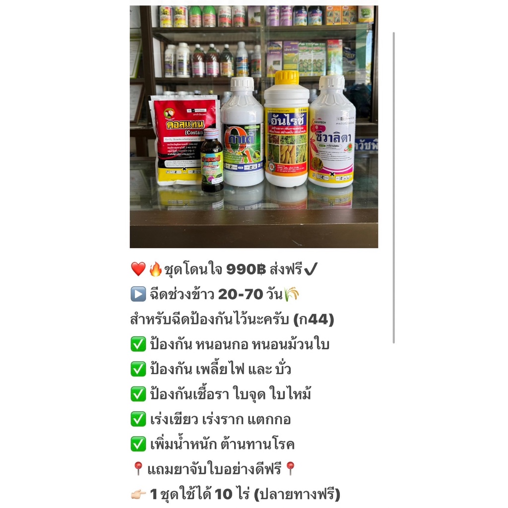 ชุดโดนใจ (ก44) ฉีดช่วงข้าว 20-70 วัน 1 ชุดฉีดได้ 10 ไร่ - รูปที่ 2