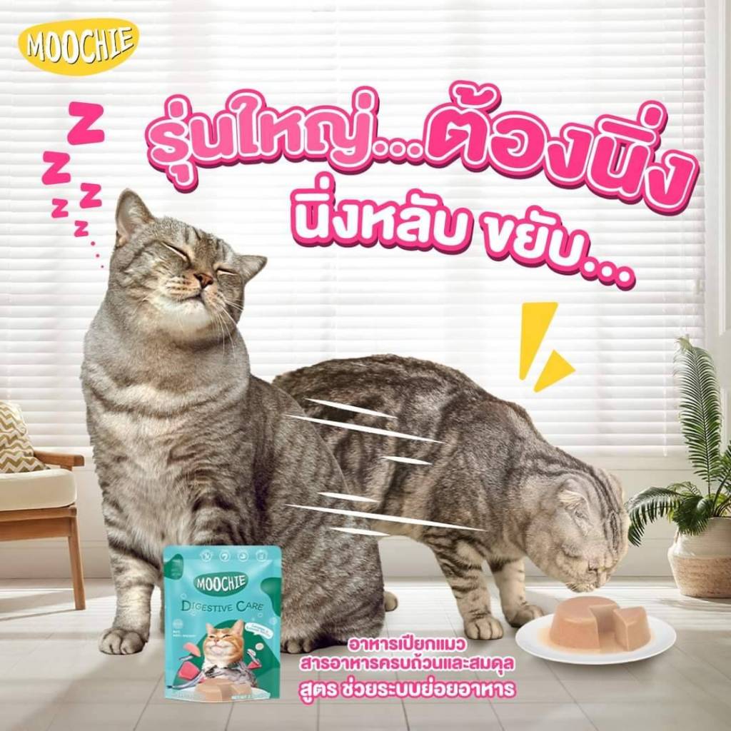 ยกโหล12ซอง Moochie Catมูชี่ อาหารเปียกแมวเพื่อสุขภาพ ไม่เติมเกลือ มูชี่แมว รูปที่ 6