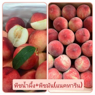 setพีชน้ำผึ้ง+แนททารีน รวม 1 กิโลกรัม หวาน หอม อร่อย 🍑🍑🍑