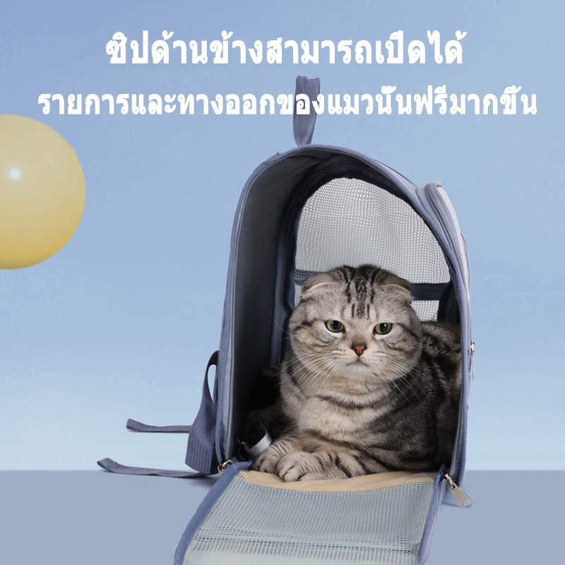รูปภาพ 6