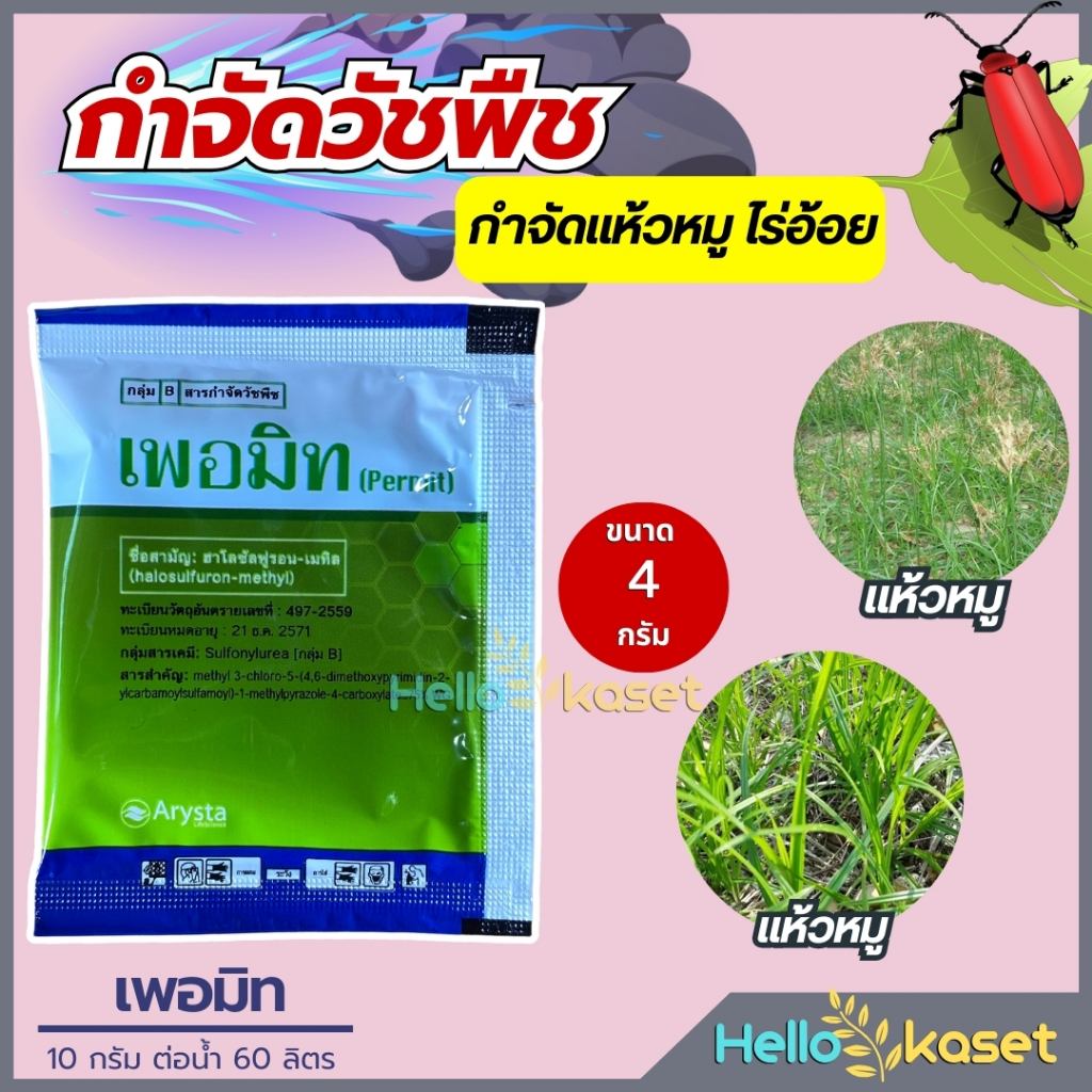 สารกำจัดหญ้าแห้วหมู สารกำจัดวัชพืช เพอมิท ฮาโลซัลฟูรอน-เมทิล ขนาด 4 กรัม ตุ๋ยทุกหัว กำจัดแห้วหมู