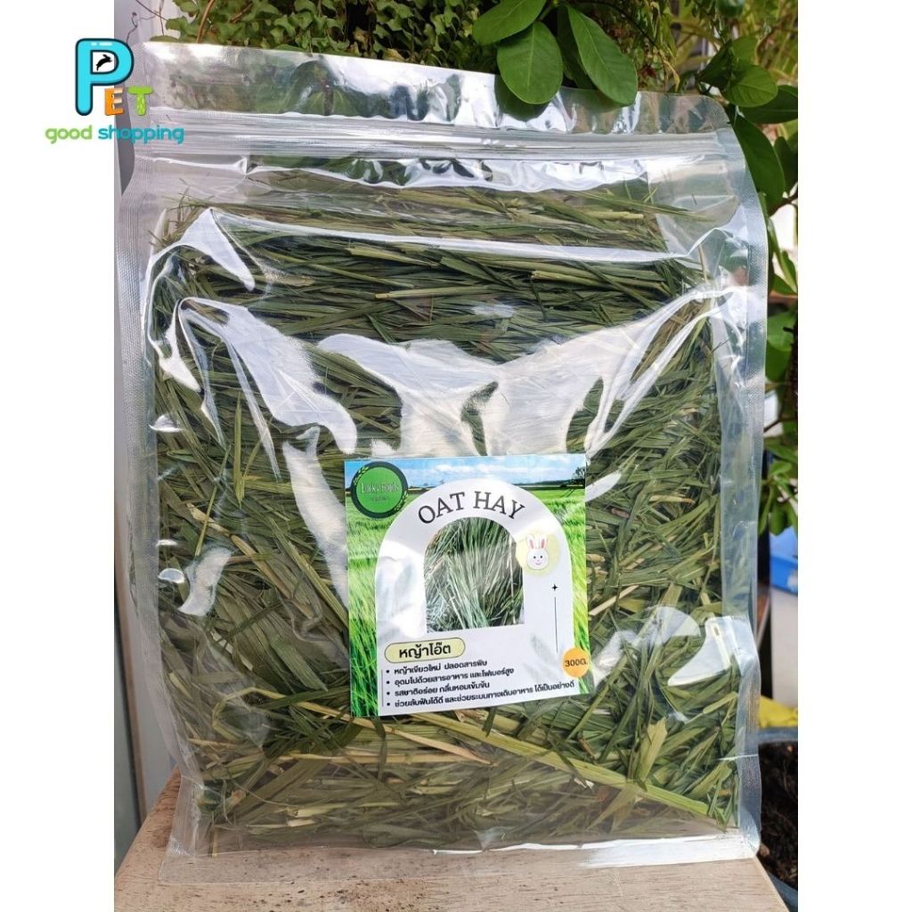Golden oat hay หญ้าโอ๊ตอบลมร้อน สำหรับสัตว์ฟันแทะ กระต่าย แกสบี้ ชินชิลล่า แพรี่ด็อก