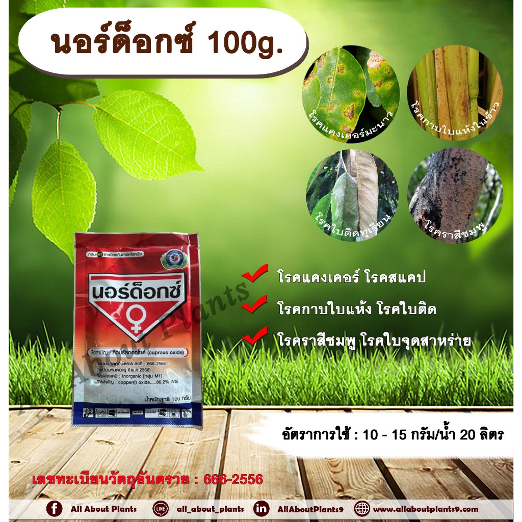 นอร์ด็อกซ์ 100g. คิวปรัสออกไซด์ ป้องกันโรค กำจัดโรค เชื้อราและแบคทีเรีย โรคแคงเคอร์ โรคสแคป โรคกาบใบแห้ง โรคใบติด
