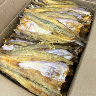 ถูกมาก‼ ปลาช่อนทะเล🐟ปลาจิ๊กโก๋ ไม่เค็มมาก ทำสดใหม่ แห้งมาก ปลาแห้ง