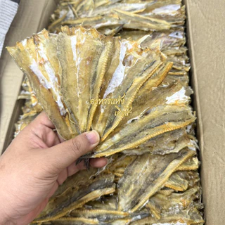 ถูกมาก‼ ปลาช่อนทะเล🐟ปลาจิ๊กโก๋ ไม่เค็มมาก ทำสดใหม่ แห้งมาก ปลาแห้ง