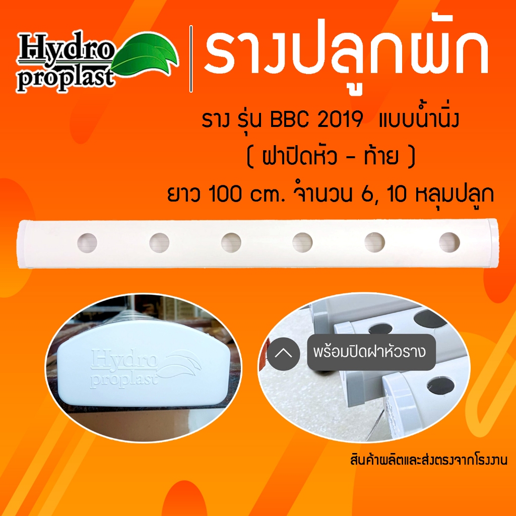 รางปลูกผักไฮโดรโปนิกส์ รุ่นรางปิด BBC 2019 ระบบน้ำว ยาว 1 เมตร จำนวน 6 - 10 ช่องปลูก ( ปิดฝาหัว - ท้าย )