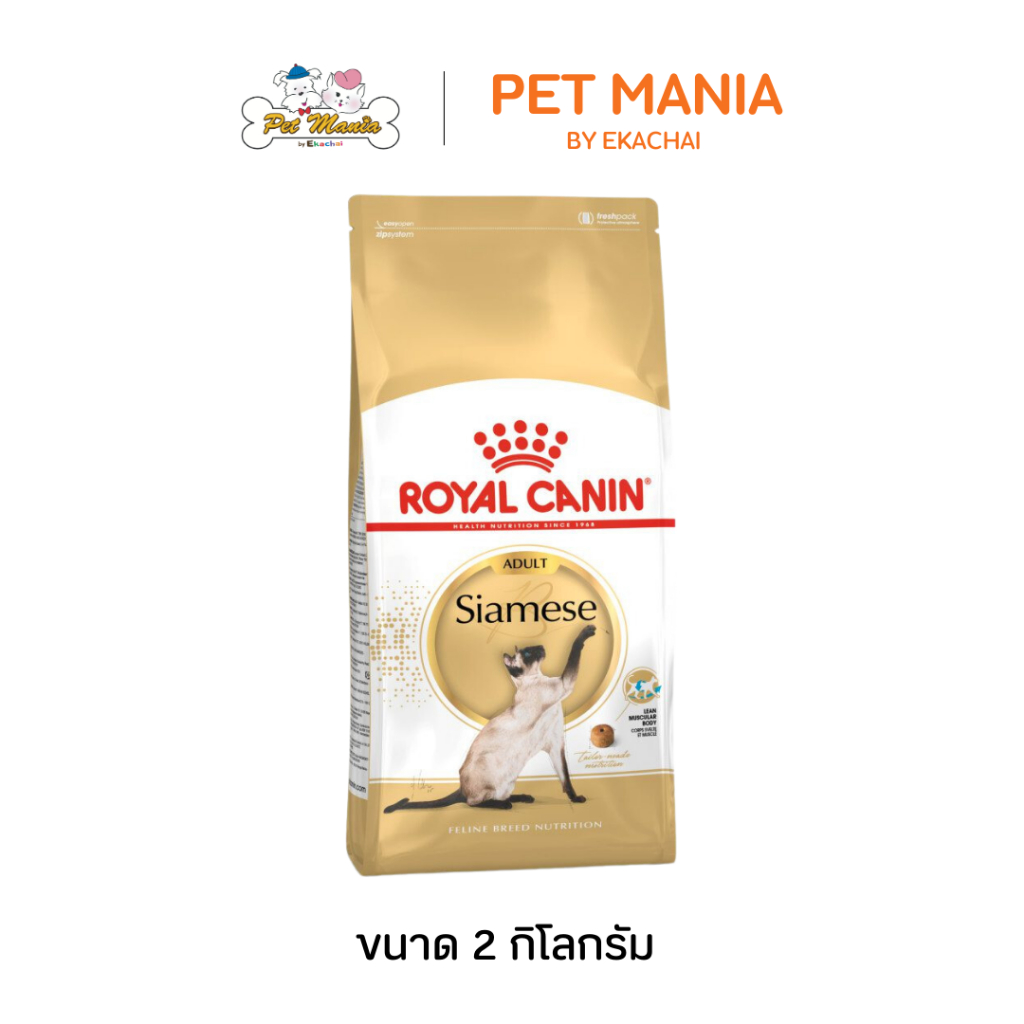 Royal Canin FelinBreed Siamess 38 อาหารแมวโต พันธุ์ไทย 2 kg
