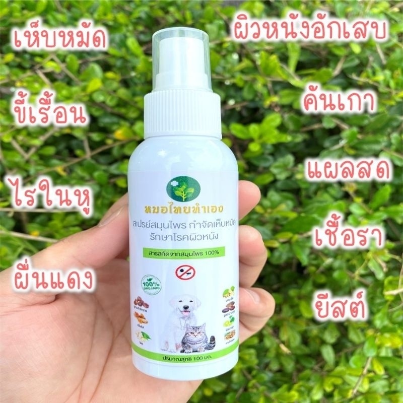 ส่งไว🔥สเปรย์บรรเทาโรคผิวหนัง ไล่ ป้องกันเห็บหมัด ขี้เรื้อนสุนัข แมว เชื้อรา ยีสต์ คันเกา 100 ml. สมุนไพรหมอไทยทำเอง