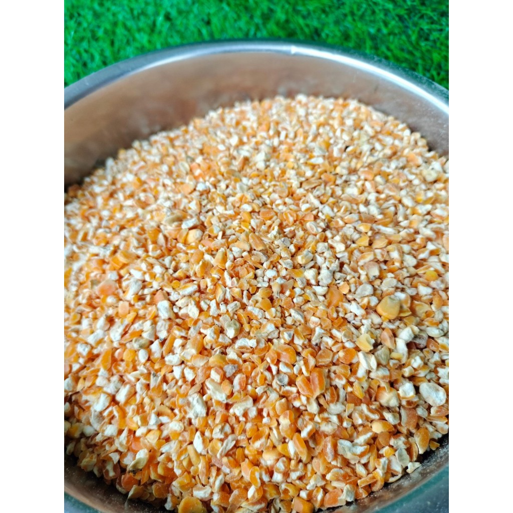 บรรจุ 20 กก. ข้าวโพดป่น สำหรับเลี้ยงไก่ เป็ด ข้าวโพดอาหารสัตว์ ใหม่ สะอาด เม็ดสวย ข้าวโพดอาหารสัตว์