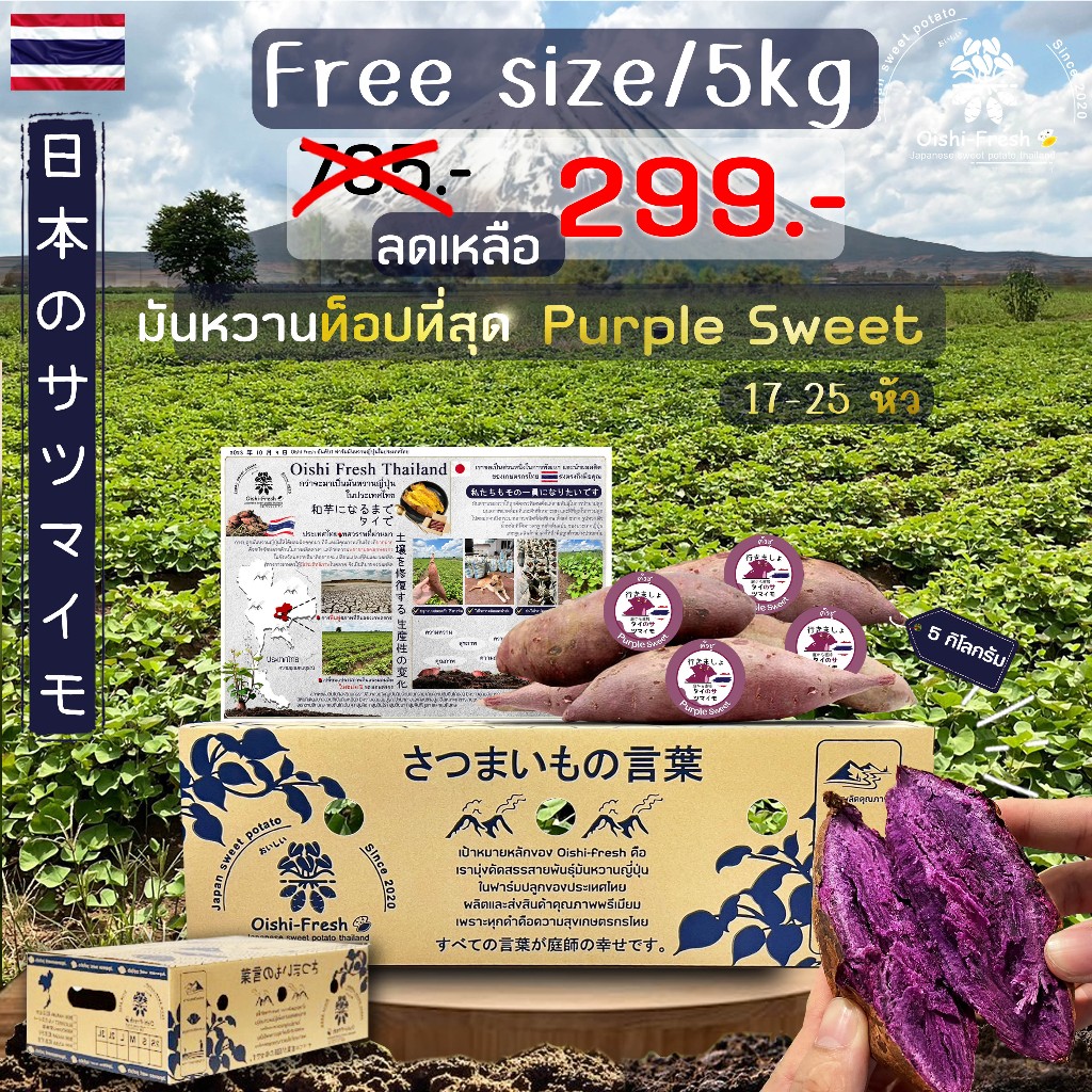 ถูกที่สุด ยกลัง5 กิโลกรัม มันหวานญี่ปุ่นสายพันธุ์ Purple Sweet ปลูกไทย เนื้อเหลือง หอมหวาน อร่อย .สินค้าเคลมได้