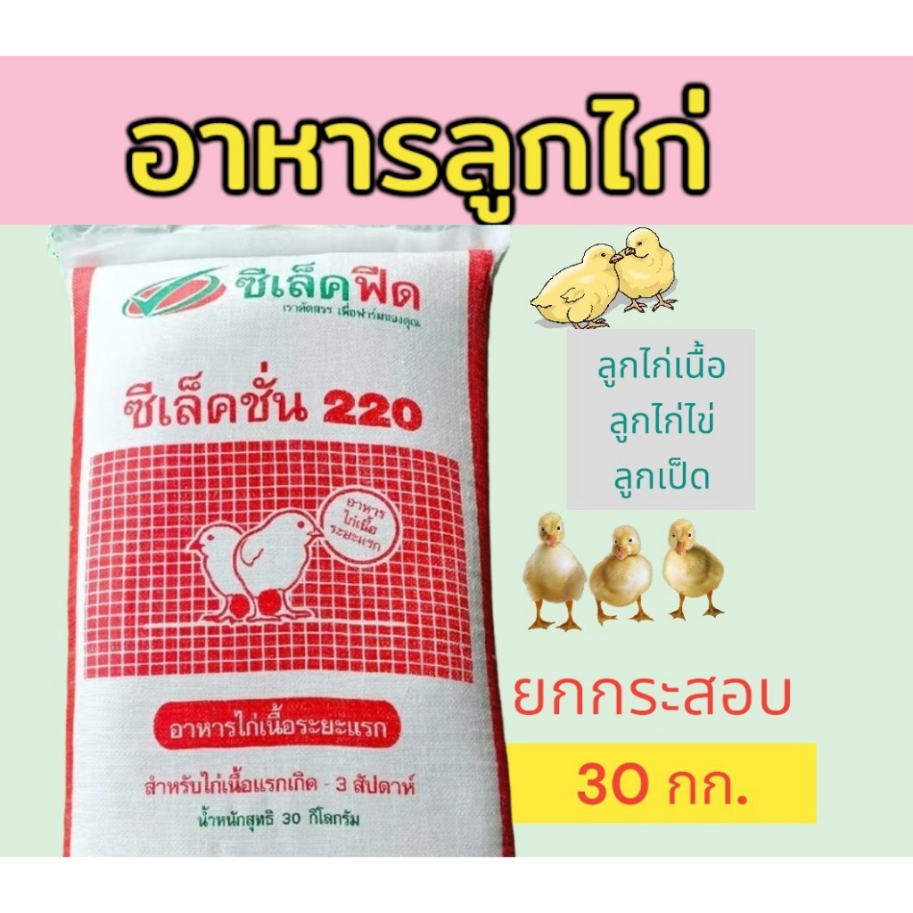 ยกกระสอบ 30 กิโลกรัม อาหารลูกไก่ ทุกชนิด ตราซีเล็ค ระยะแรกเกิด – 3 สัปดาห์ ซีเล็คชั่น220 โปรตีน 21%