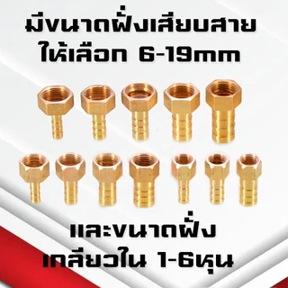 (A08)ข้อต่อทองเหลืองเกลียวในเสียบสาย ข้อต่อตรงหางปลาไหลทองเหลือง เกลียวในทองเหลือง1-6หุน/6-19มิล