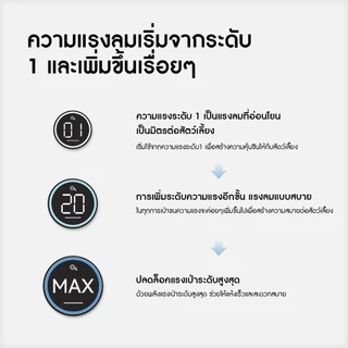 HOMERUNPET Official Pet Dryer ไดร์เป่าขนสุนัข เครื่องเป่าขนสุนัข สัตว์เลี้ยง PD10 พร้อมกับหัวเป่า 3 หัว