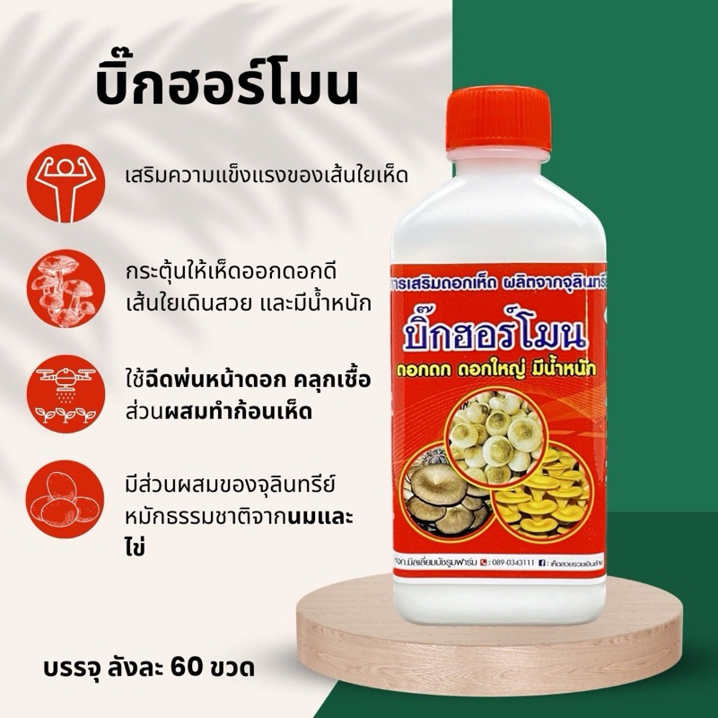 บิ๊กโฮร์โมน เสริมความแข็งแรงของเส้นใยเห็ด ออกดก ดอกใหญ่ มีน้ำหนัก