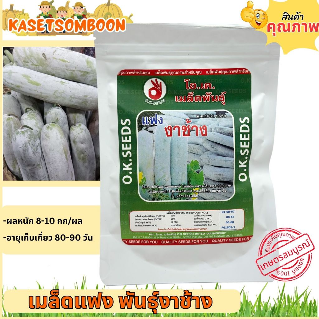 แฟงงาช้าง เมล็ดพันธุ์ฟักแฟง 50 ก. ลูกใหญ่ งอกง่าย ยาว ทรงกระบอก ตรา โอเคซีดส์