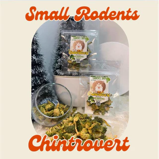 Chintrovert ✨| Dried Broccoli บล็อคโคลี่อบแห้ง 5g. | กระต่าย ชินชิล่า แฮมเตอร์ ดอร์เมาท์ แฟตเทล