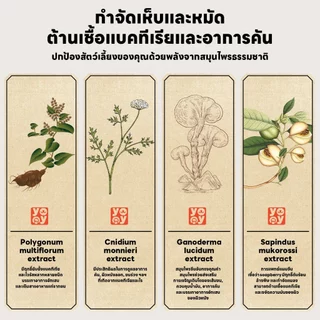 yoyopet : Cat Shampoo แชมพูอาบน้ำแมว ป้องกันเห็บ หมัด เหา คุมความมัน ลดอาการคัน แอนตี้แบคทีเรีย500ml