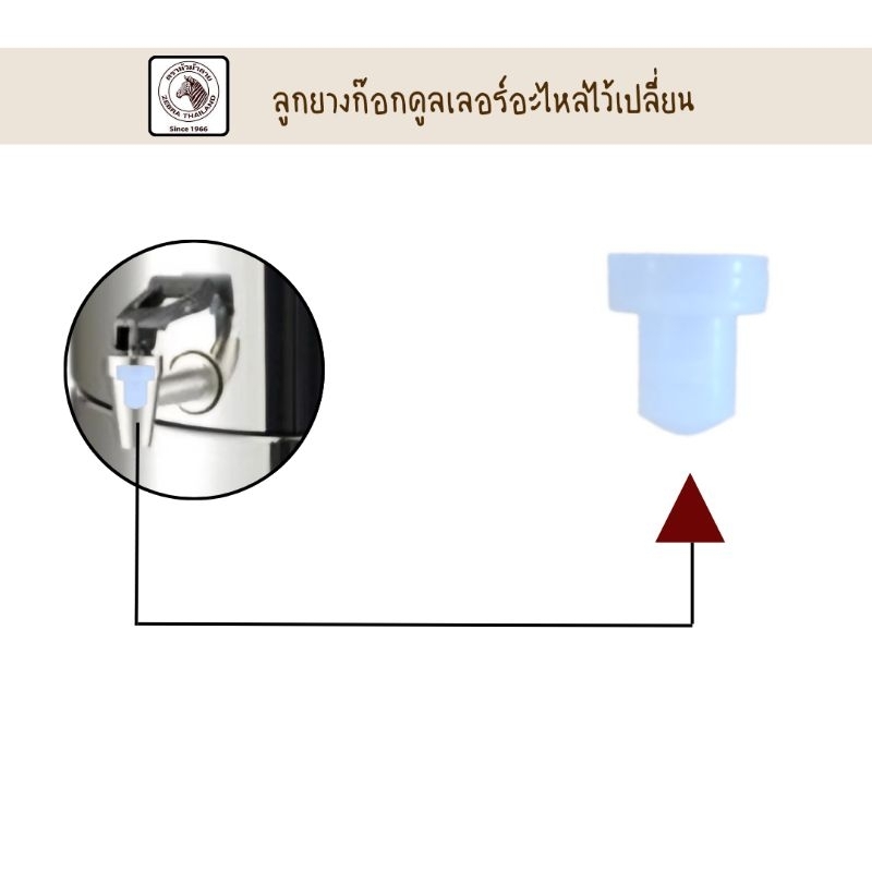 Zebra ลูกยางและสปริงก๊อกคูลเลอร์ 22-28 ตราหัวม้าลาย อะไหล่สำหรับเปลี่ยนลูกยางบนหัวก๊อก ถังใส่น้ำ