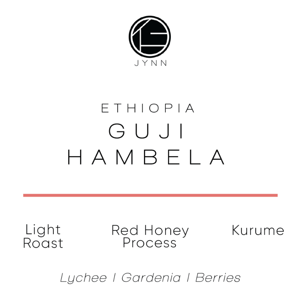 JYNN coffee roasters เมล็ดกาแฟ Ethiopia Guji Hambela - 100g