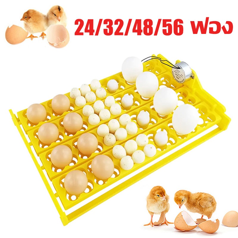 ถาดฟักไข่ ถาดฟักไข่ไก่ 24/32/48/56ฟอง ตู้ฟักไข่ไก่ ไก่ชน นก เป็ด มอเตอร์กลับไข่ อุปกรณ์ฟักไข่